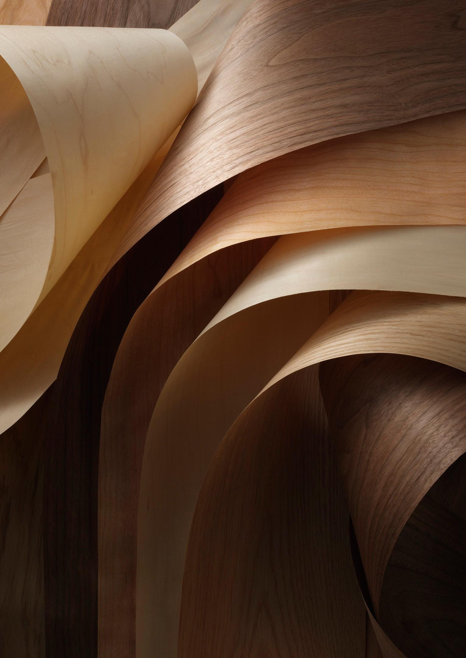 スライドショー画像1